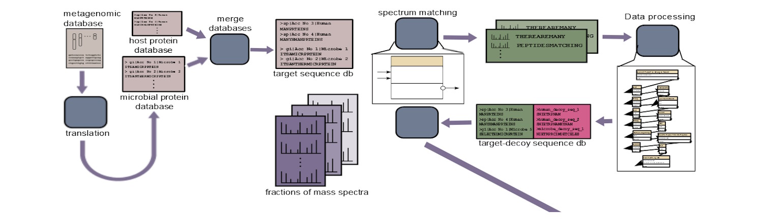 Infographic of Metaproteomics workflow